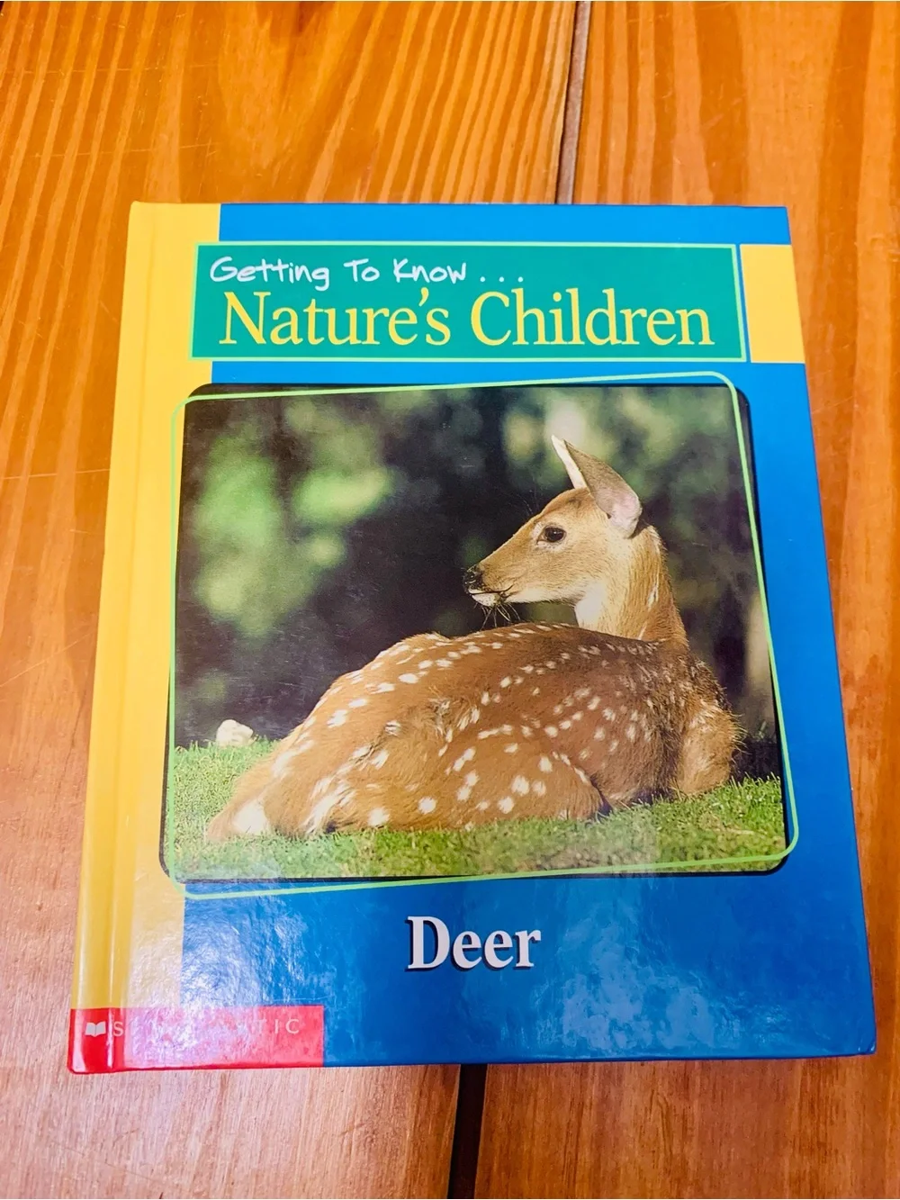Getting to Know... Nature's Children: Deer and Rabbit reversible Hardcover Books
